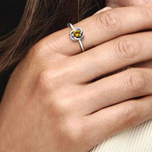 FINAL SALE - November Honey Eternity Circle Ring