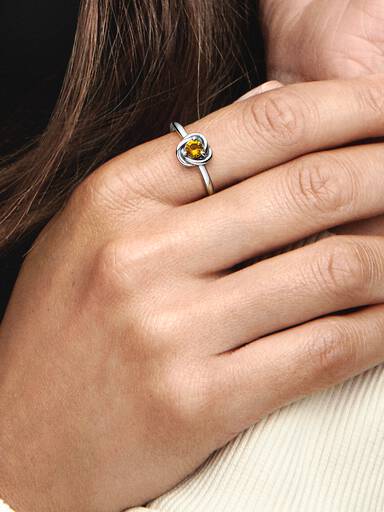 FINAL SALE - November Honey Eternity Circle Ring