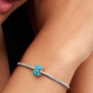 Turquoise-colored Ocean Charm