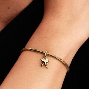 Starfish Double Dangle Charm