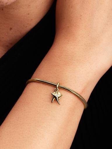 Starfish Double Dangle Charm