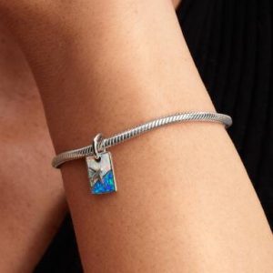 Travel Dangle Charm