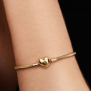 Heart Clasp Snake Chain Bracelet
