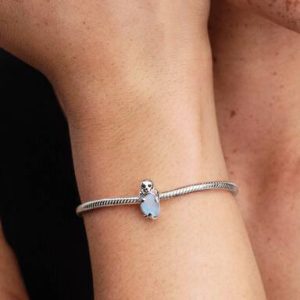 Seal Charm