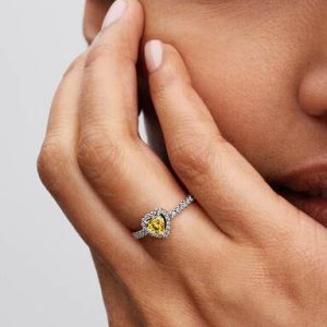 Sparkling Elevated Heart Ring