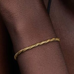 Round Pandora Clasp Twisted Snake Chain Bracelet
