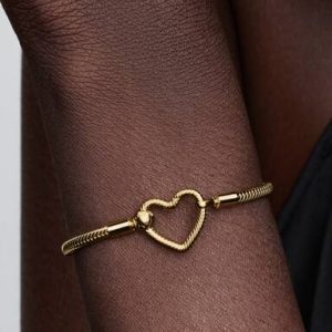 Heart Closure Snake Chain Bracelet
