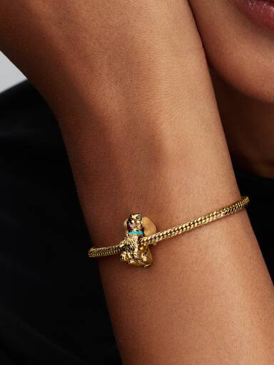 Disney Lady Charm