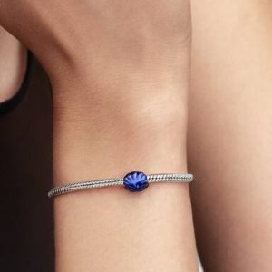 Blue Shell Mini Charm