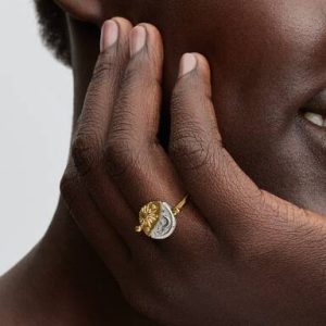 Sun & Moon Reversible Medallion Ring