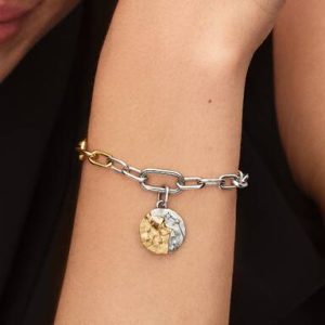 Aquarius Zodiac Medallion Charm