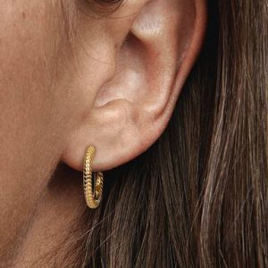 Pandora Moments Small Charm Hoop Earrings