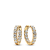 Gold plated