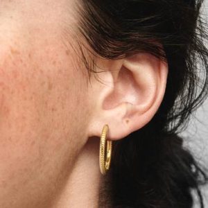 Pandora Moments Charm Hoop Earrings