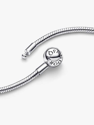 Moments Snake Chain Necklace - Image 5