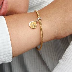 My Pandora Two-tone Daisy Double Dangle Charm