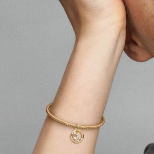 Aquarius Zodiac Dangle Charm