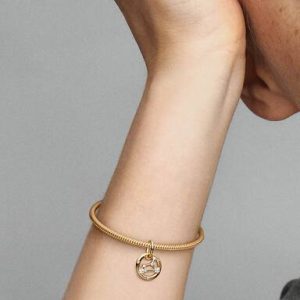 Leo Zodiac Dangle Charm