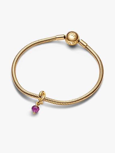 February Purple Eternity Circle Dangle Charm - Image 3