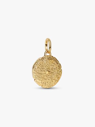 Lion Medallion Charm - Image 6