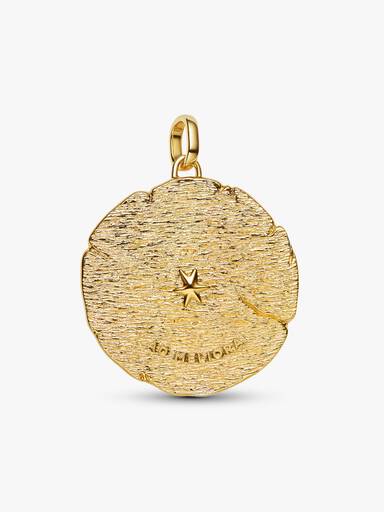 Crossing Arrows Oversized Medallion Charm - Image 5