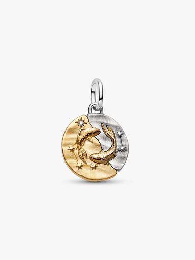 Pisces Medallion Charm Necklace Set - Image 2