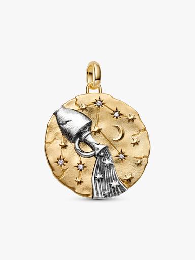 Aquarius Zodiac Oversized Medallion Charm - Image 2