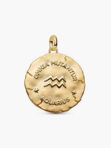 Aquarius Zodiac Oversized Medallion Charm - Image 3
