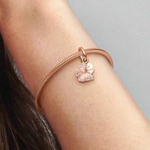 Pink Butterfly & Quote Double Dangle Charm