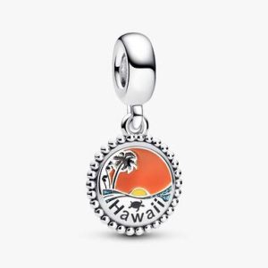 Tropical Hawaii Dangle Charm