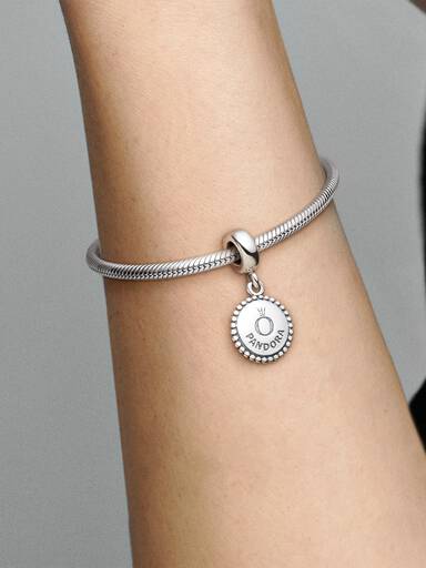 Icon Dangle Charm