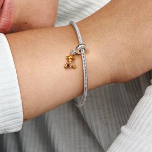 Disney Winnie the Pooh Tigger Dangle Charm