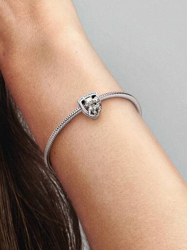 FINAL SALE - Marvel Guardians of the Galaxy Rocket Raccoon & Groot Emblem Charm