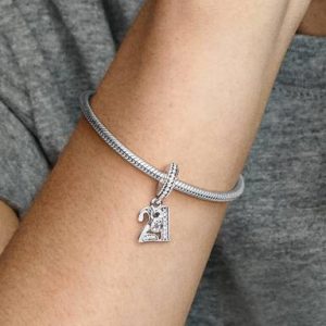 21st Celebration Dangle Charm