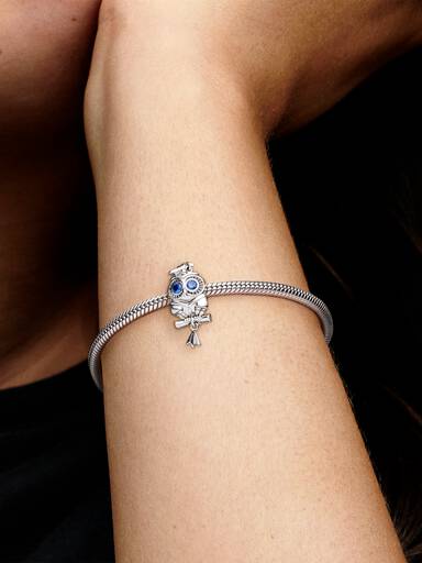 Wise Owl Graduation Charm