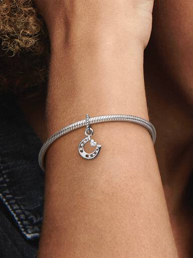 Good Luck Horseshoe Dangle Charm