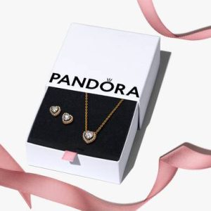 Golden Elevated Heart Jewelry Gift Set