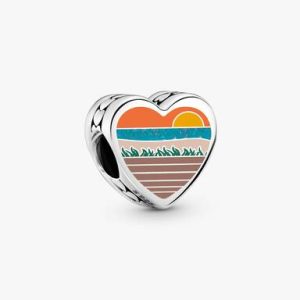 Delaware Heart Charm