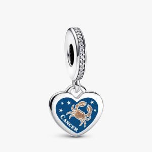 Cancer Dangle Charm