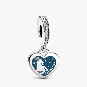 Capricorn Dangle Charm