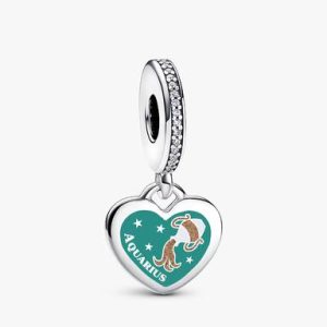Aquarius Dangle Charm