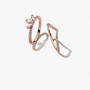 Sparkling Herbarium Cluster and Wish Ring Set