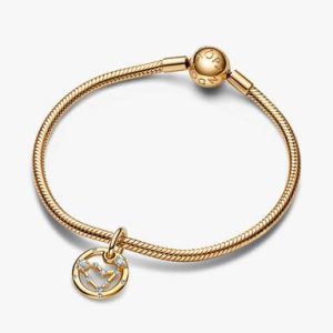 Capricorn Zodiac Dangle Charm Bracelet Set