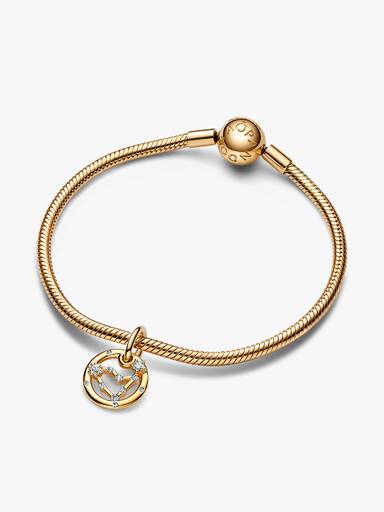 Capricorn Zodiac Dangle Charm Bracelet Set