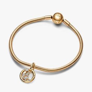 Aquarius Zodiac Dangle Charm Bracelet Set