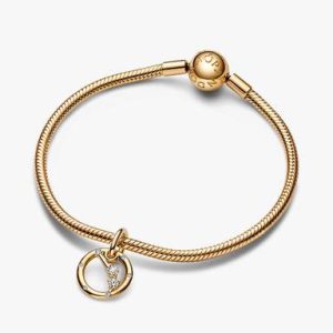 Aries Zodiac Dangle Charm Bracelet Set