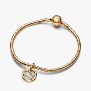 Gemini Zodiac Dangle Charm Bracelet Set