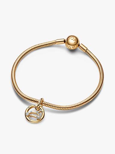 Leo Zodiac Dangle Charm Bracelet Set