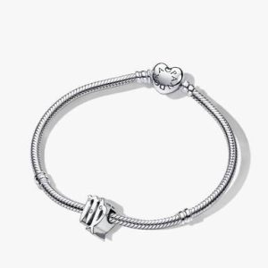 Virgo Zodiac Charm Bracelet Set