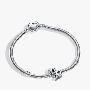 Capricorn Zodiac Charm Bracelet Set